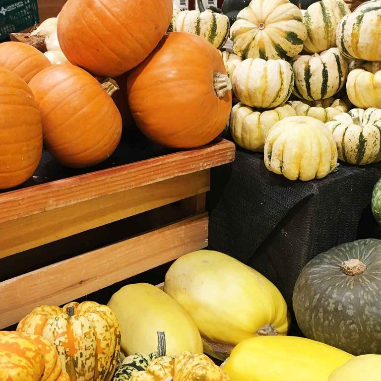 Guide to Winter Squash