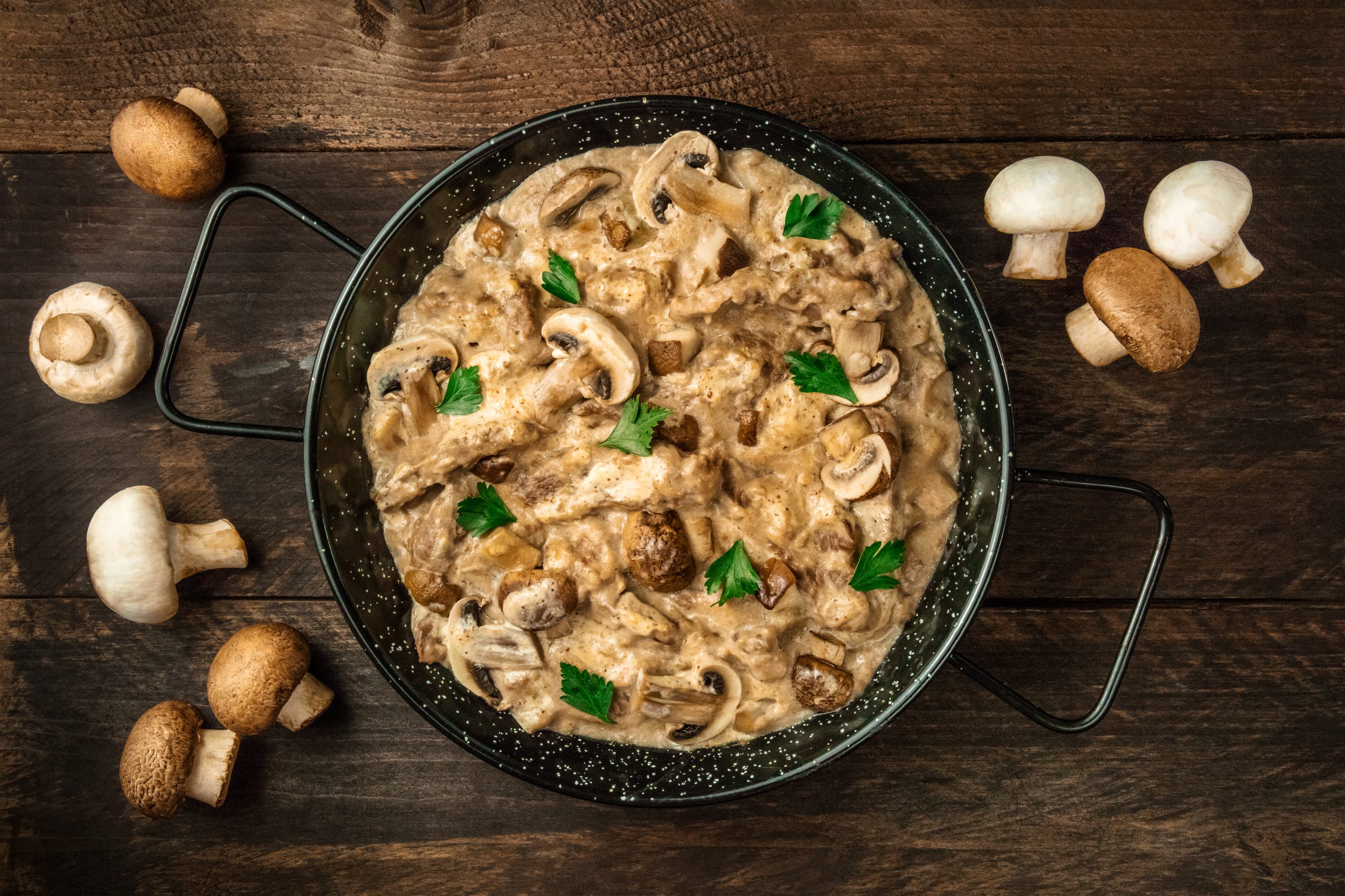Good Earth Mushroom Stroganoff - Good Earth Natural Foods