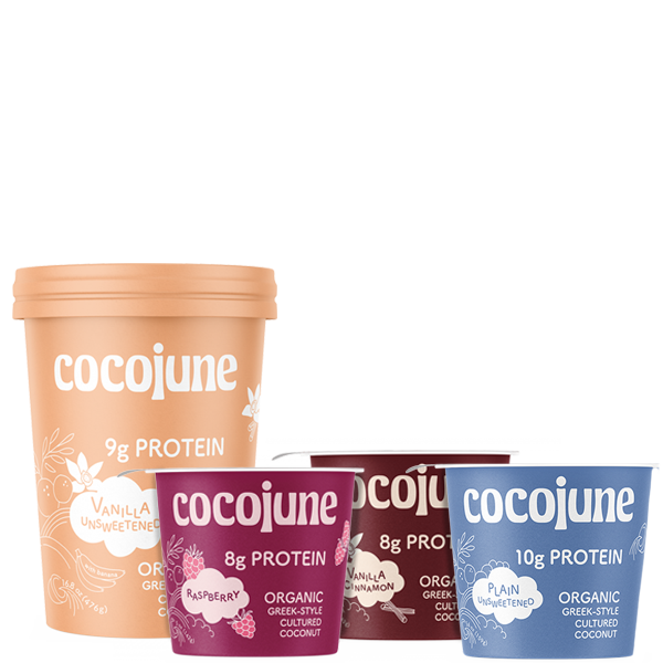 Cocojune Protein Yogurt